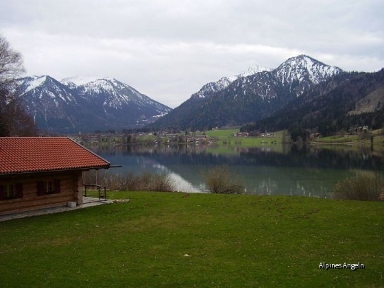 Der Ausblick