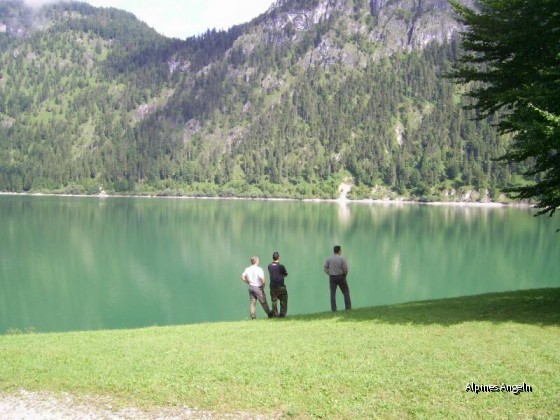 Wo sind die Fische?