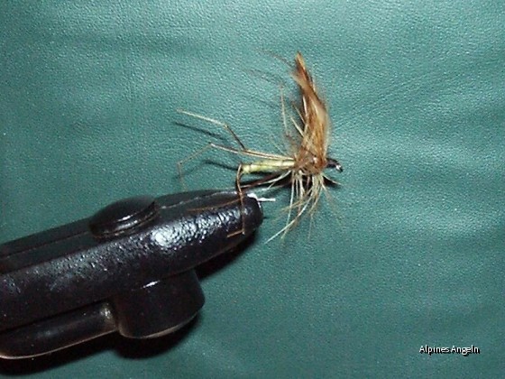 Fliege 38 Daddy long leg (Schnake)