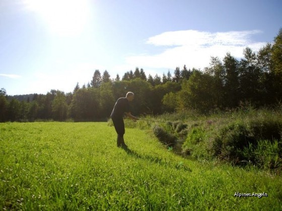 Forellen-Wobbeln am Bach 2