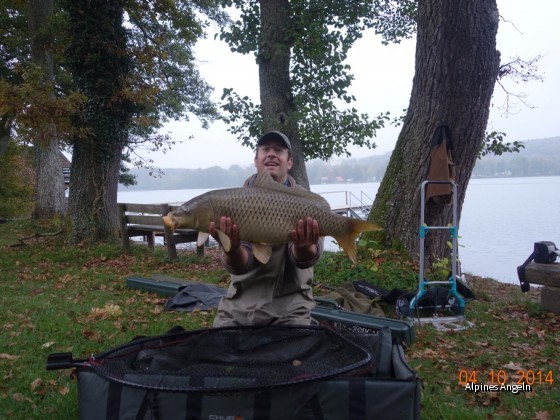 early morning carp 04.10.2014 - Kopie