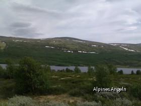 Dovrefjell