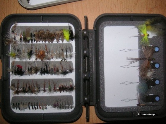 Trochenfliegenbox