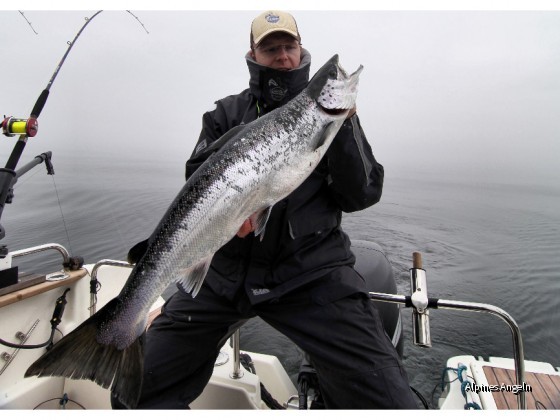 Rügen 2011_Lachs3