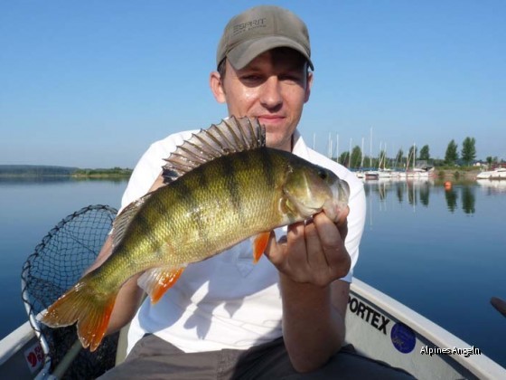 nice perch