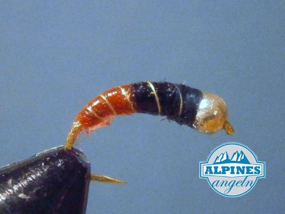 Red/White Nympe