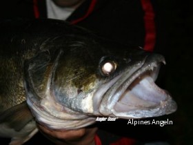 the Eye of the Walleye