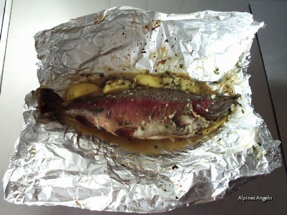 Honigfisch-09