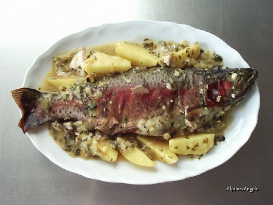 Honigfisch-10