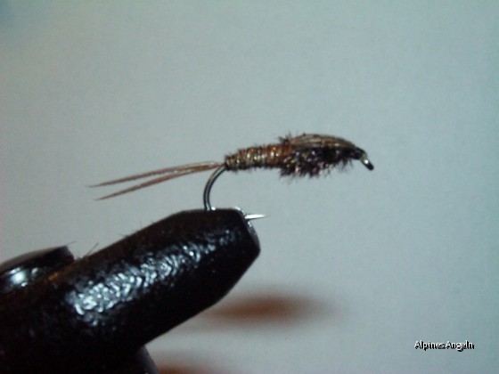 Die Fliege - Fasanenschwanznymphe (Pheasant Tail)