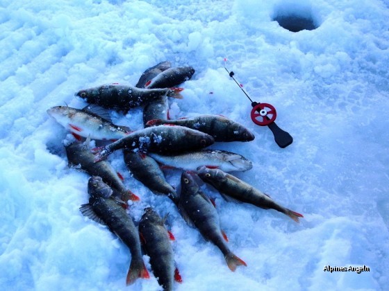 Eisfischen in Västerbotten