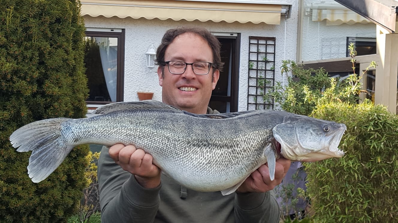 Zander 83cm