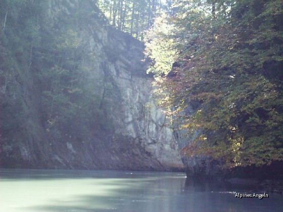 Obere Tiroler Ache 06