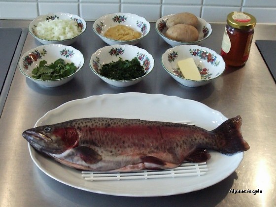 Honigfisch-01