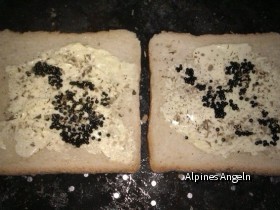 Toast1