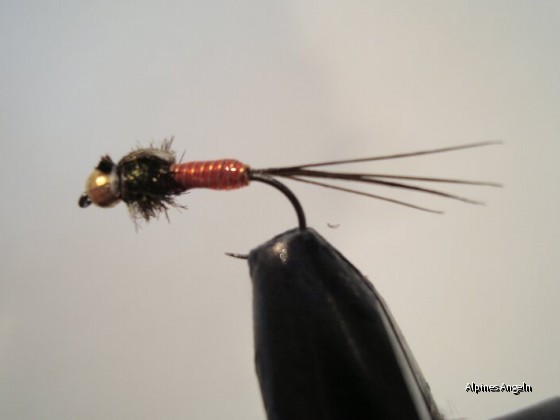 Fliege