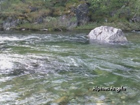Dovrefjell6