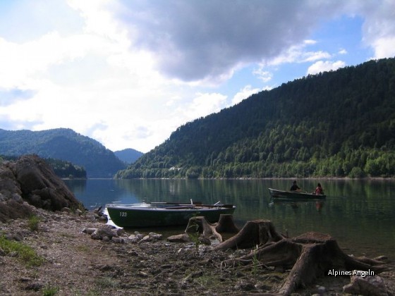 Sylvenstein Sommer 2008