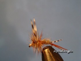 Adams 1