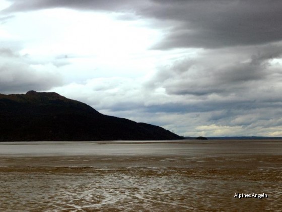 turnagain