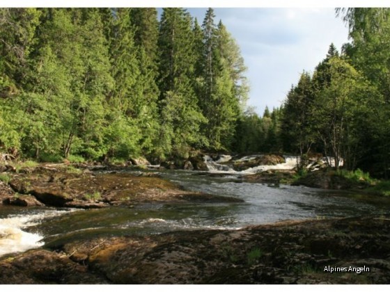Dalsland 2009 Teil 02 Bild 06
