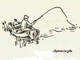Angler