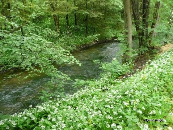 Schlierach-II-29