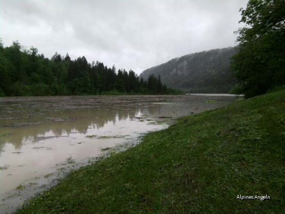 Sylvenstein Walchen 03.06.2010