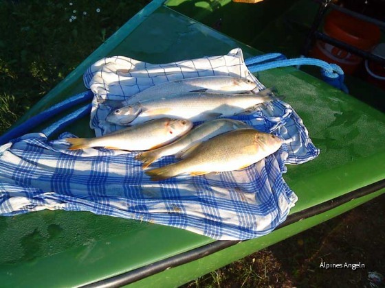 Ammersee 2009-06-13