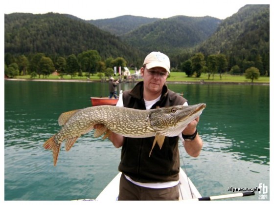 109 cm Tiroler Pike