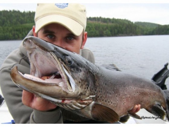 Dalsland 2009 Teil 04 Bild 10