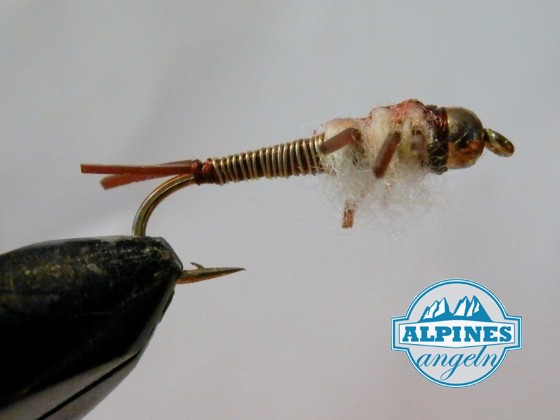 Cooper Stonefly