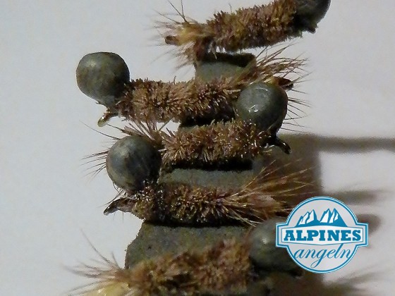 peeping caddis