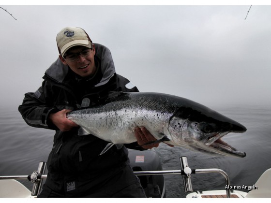 Rügen 2011_Lachs