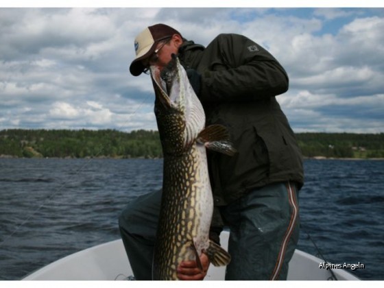 Dalsland 2009 Teil 03 pic 01