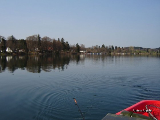 Impressionen vom Schleppen am Wörthsee