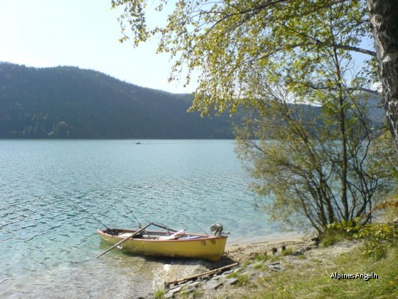 Wünderschöner Walchensee