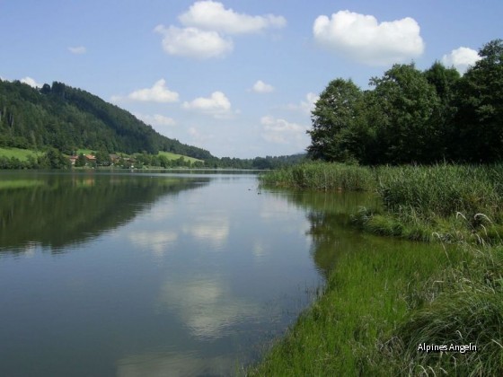 stallau3