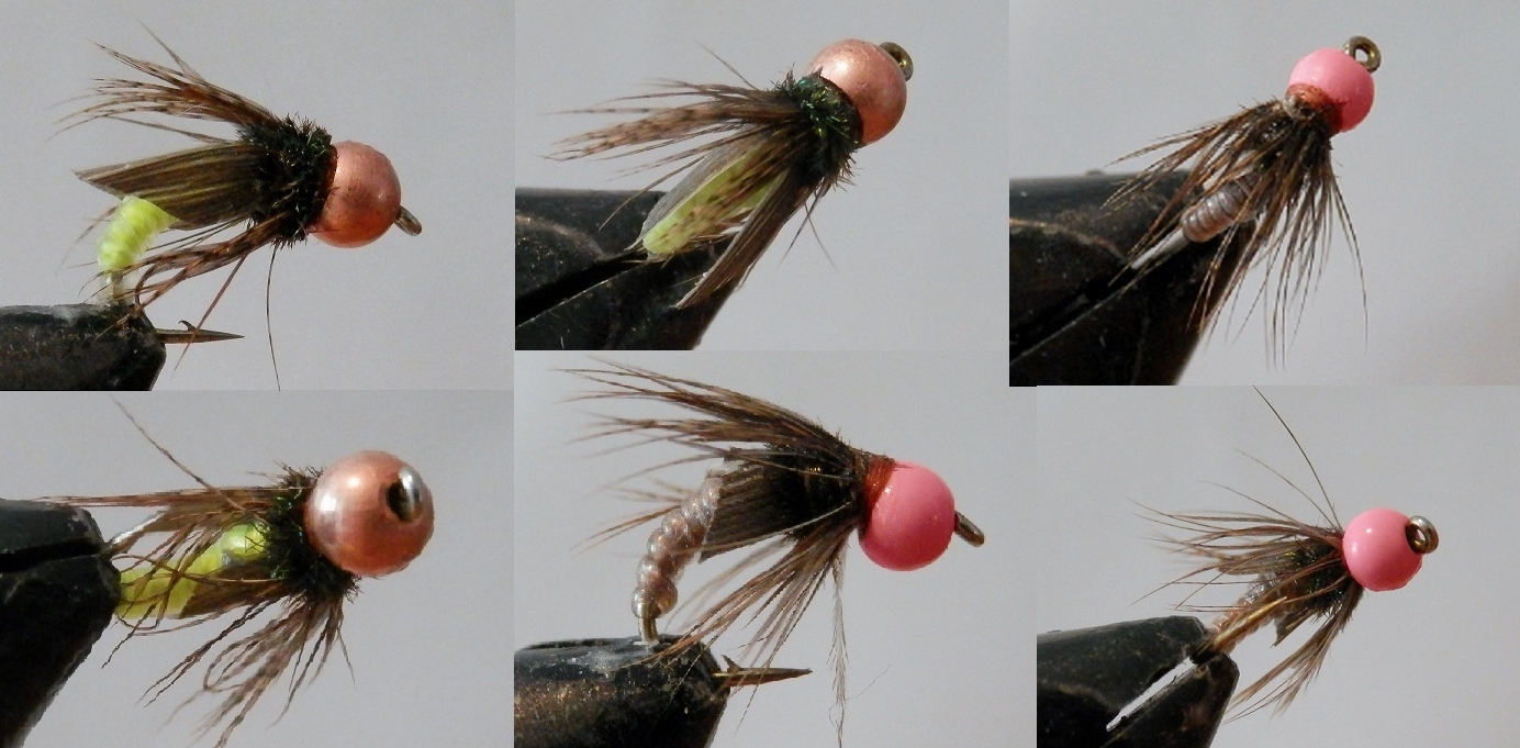 Caddis Pupa