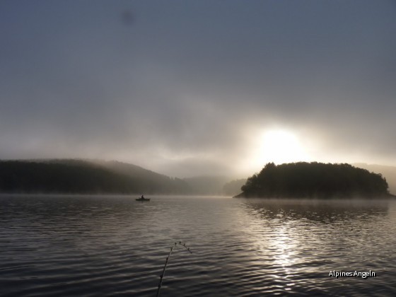 Morgennebel an der Bigge