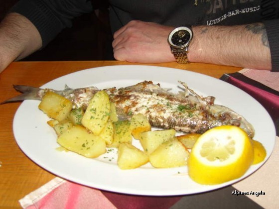 gegrillte Renke