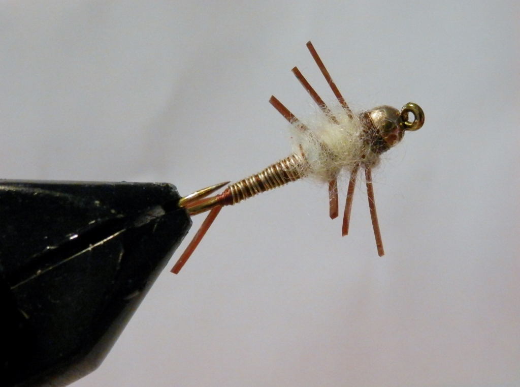 Cooper Stonefly