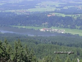 stallau2