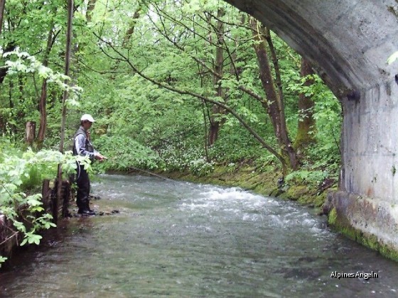 Schlierach-II-06
