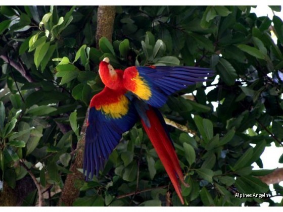 Costa Rica 32