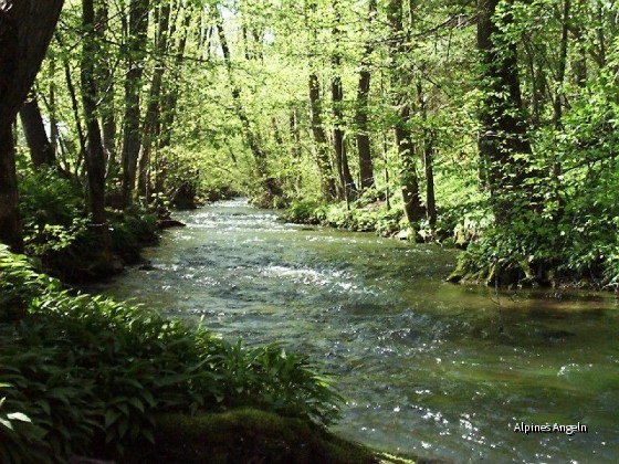 Schlierach-08
