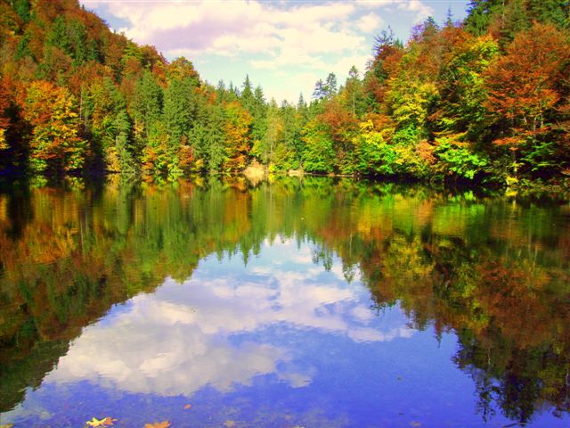 Herbstimpressionen Hechtsee